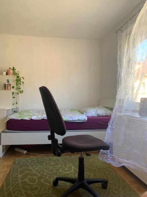 Kleine Wohnung Im Zentrum Graz Esterno foto